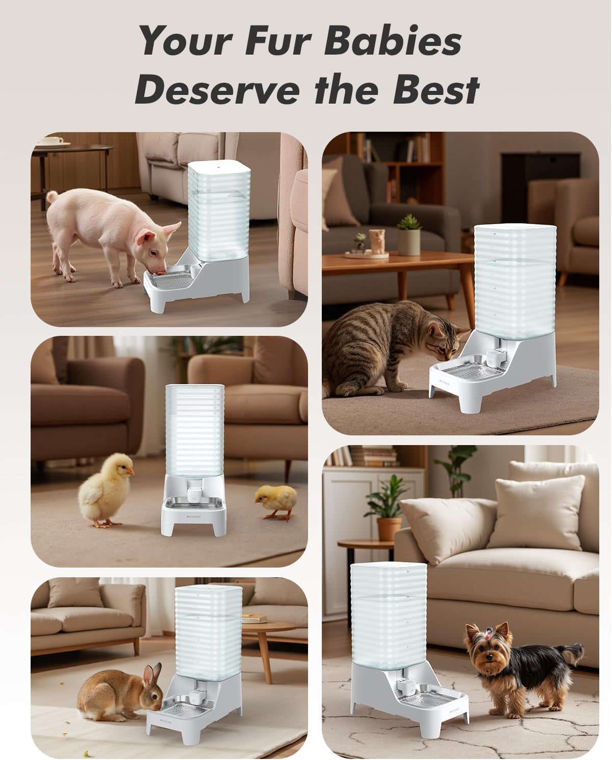 automatic-dog-water-bowl-dispenser-with-patented-faucet-8l-large-gravity-cat-water-dispenser-with-filter-adjustable-base-wide-mouth-for-easy-clean-bpa-free-stainless-steel-pet-waterer-for-pets