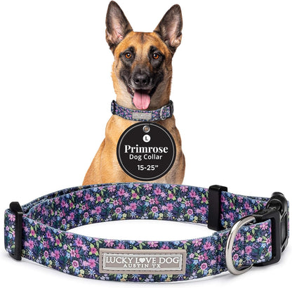 Lucky Love Dog - Easy Click Buckle Dog Collar with Leash Set Combo, Durable & Comfortable for Male & Female Dogs, Pet Collar for Medium Dogs, Secure Fit - Blackbird Combo, Medium67