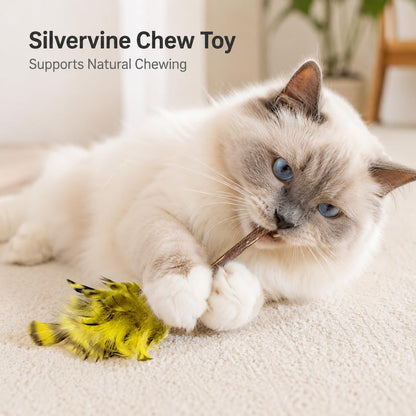 Silvervine Feather Cat Toys, 3 Pack Natural Matatabi Chew Toys for Indoor Cats, 8" Handmade Cat Toy for Chewing & Independent Play, Quiet Indoor Floor Play6