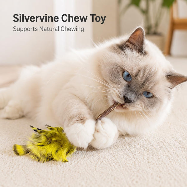 Silvervine Feather Cat Toys, 3 Pack Natural Matatabi Chew Toys for Indoor Cats, 8" Handmade Cat Toy for Chewing & Independent Play, Quiet Indoor Floor Play6