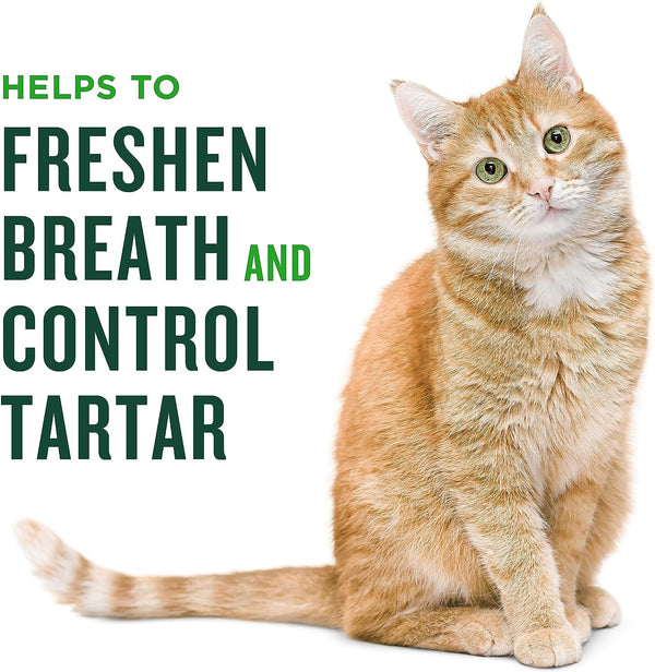 Minties Dental Treats for Cats, Salmon Flavored Treats for Cats, Freshens Breath and Controls Tartar, 2.5Oz3