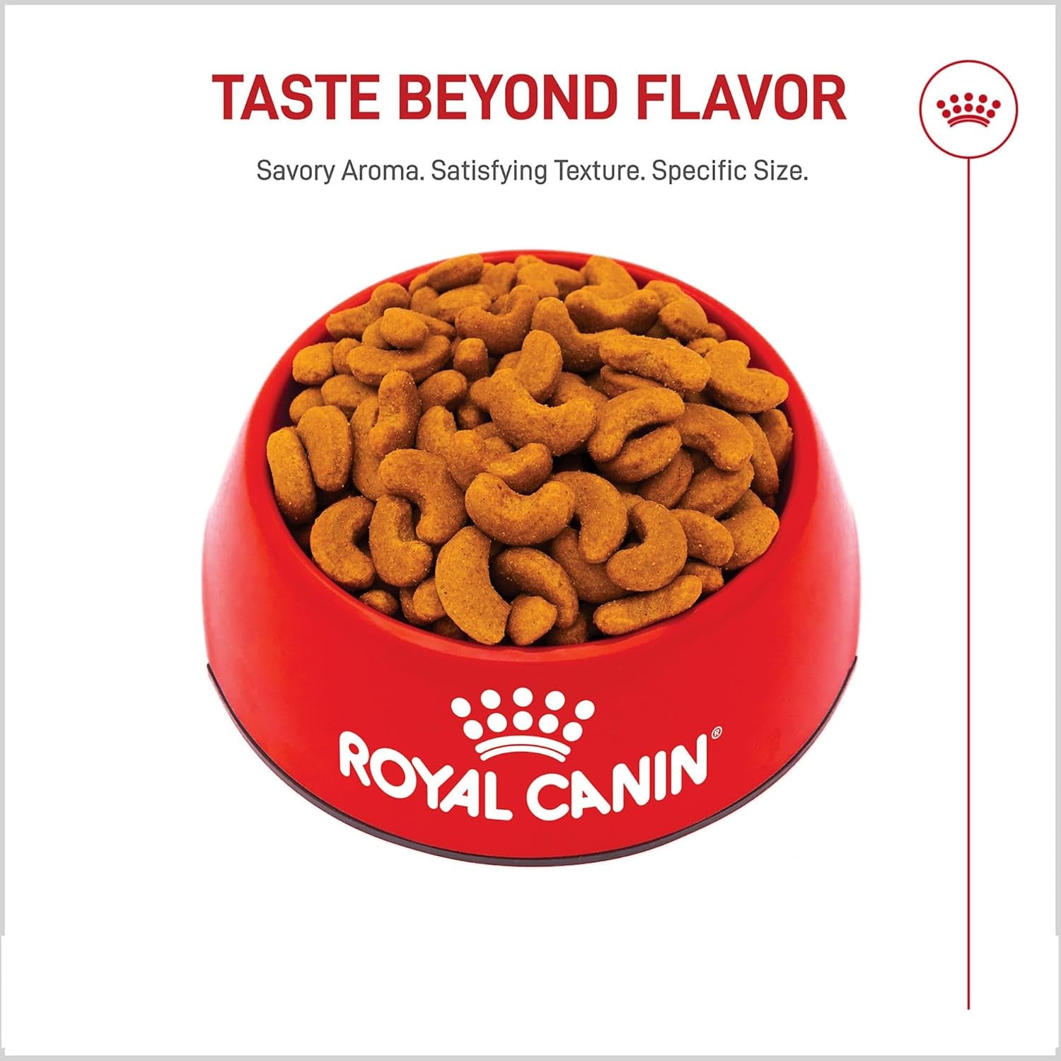 royal-canin-breed-health-nutrition-french-bulldog-adult-dry-dog-food-6-lb-bag-tailored-nutrition-for-purebred-dogs-specialized-kibble-shape-supports-muscle-tone-6-pound-resealable-bag