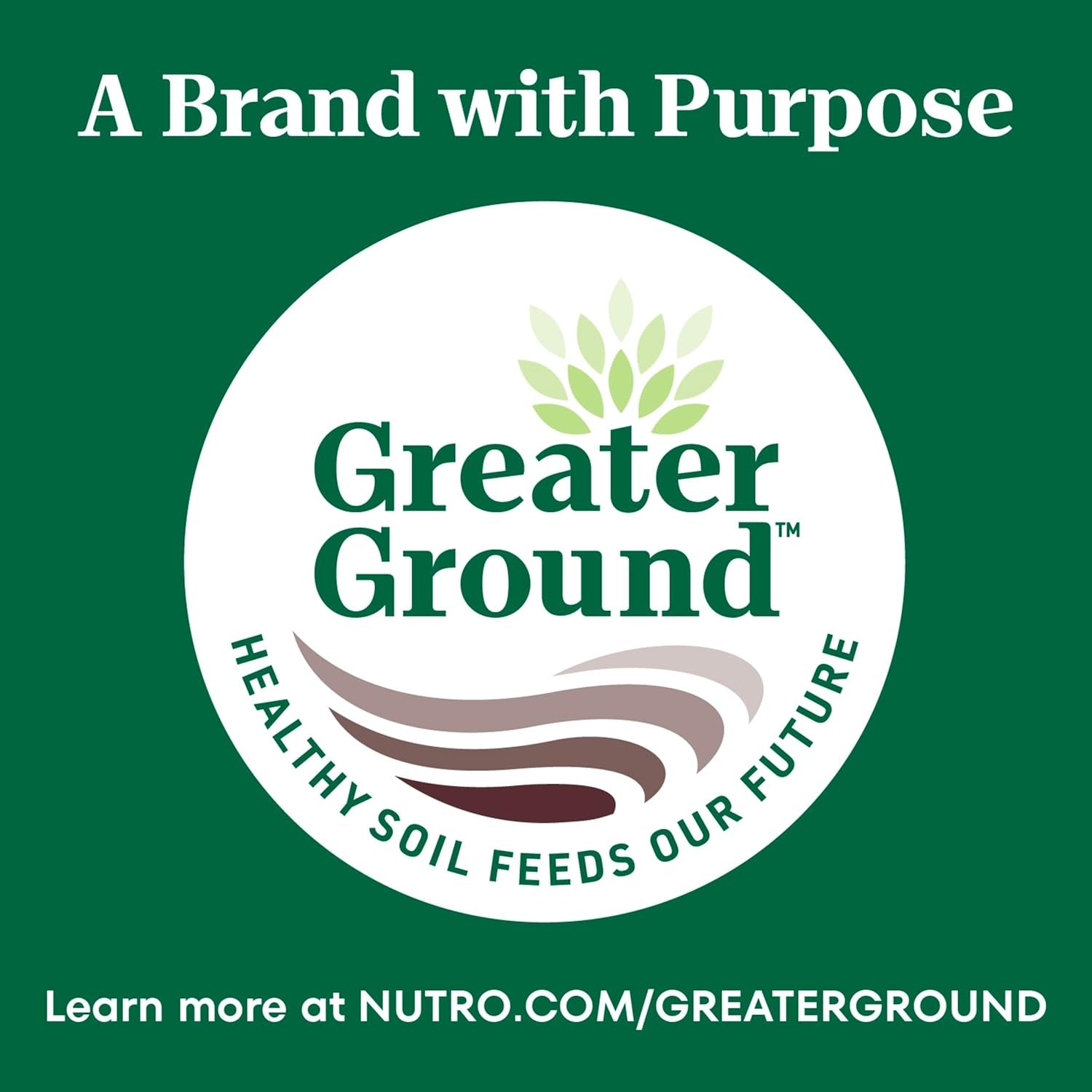 nutro-wholesome-essentials-indoor-adult-dry-cat-food-chicken-rice-5-lb-real-chicken-1-ingredient-natural-prebiotic-fiber-for-digestion-vitamin-e-selenium-antioxidants-supports-whole-body