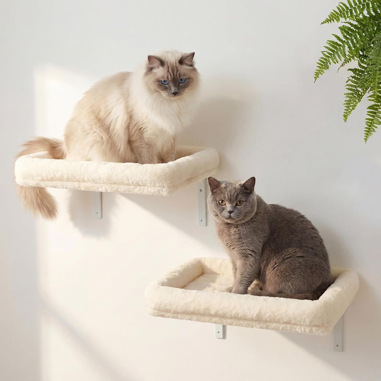 veehoo-cat-wall-shelves-for-large-cats-2-pack-cat-shelf-for-climbing-20-5-15-7-large-cat-wall-furniture-with-soft-cushion-perch-bed-40-lbs-support-fits-16-inch-drywall
