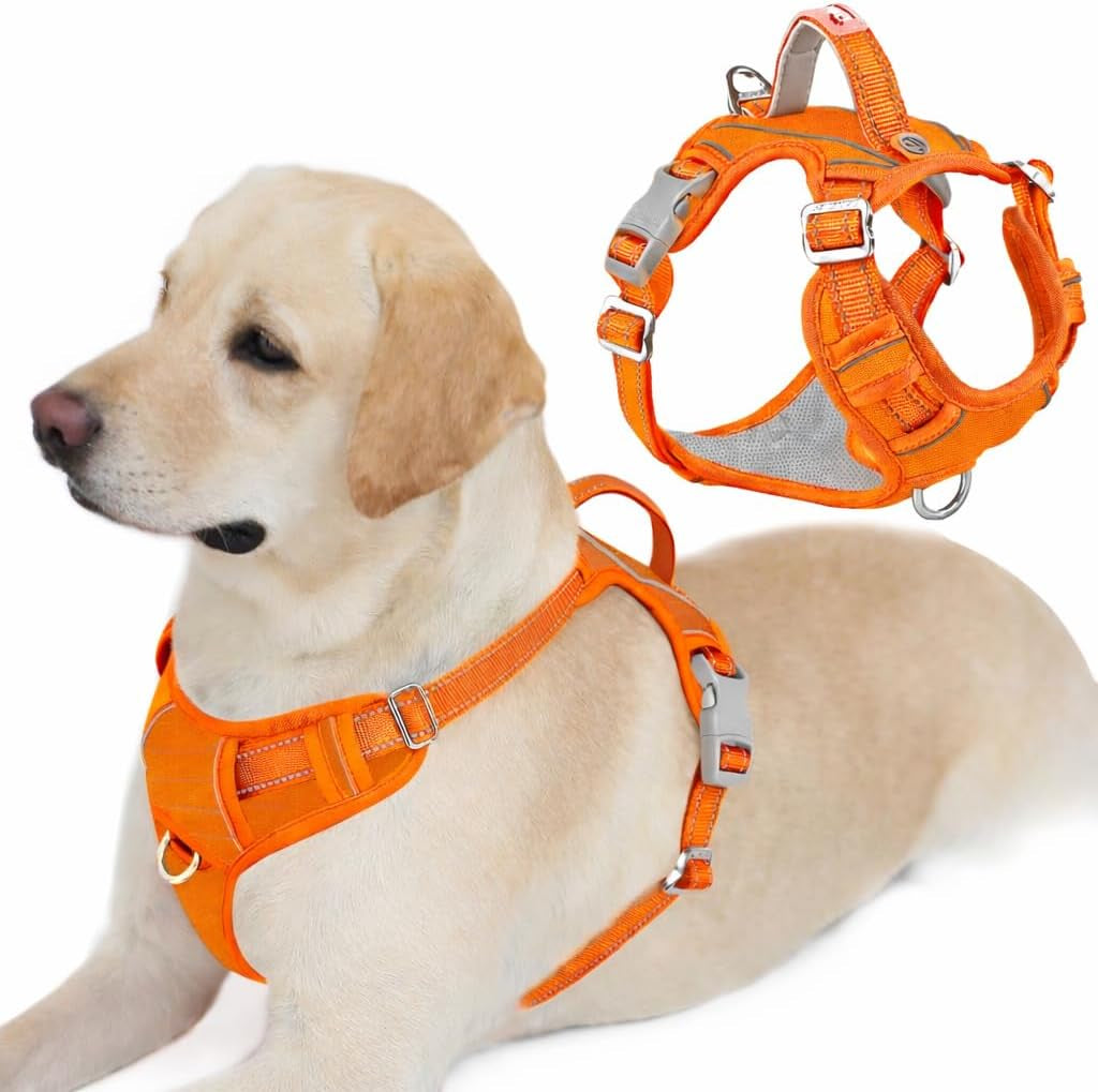 barkbay-dog-harness-no-pull-with-id-tag-pocket-heavy-duty-reflective-easy-control-for-large-dogsblue-l