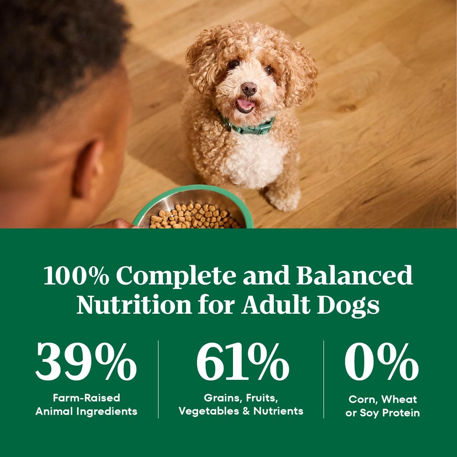 nutro-natural-choice-small-bites-dry-dog-food-lamb-rice-12-lb-non-gmo-real-lamb-1-ingredient-no-corn-wheat-soy-crafted-in-usa-supports-energy-bones-muscles-dental-health-skin