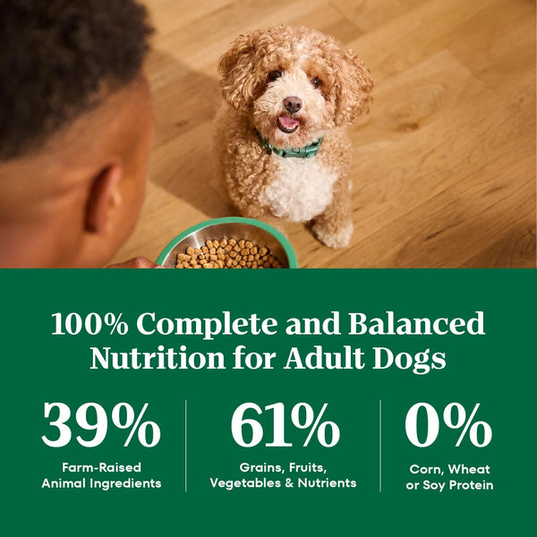 Nutro Natural Choice Small Bites Dry Dog Food, Lamb & Rice, 12 Lb | Non-Gmo, Real Lamb #1 Ingredient, No Corn, Wheat, Soy, Crafted in USA, Supports Energy, Bones, Muscles, Dental Health, Skin8
