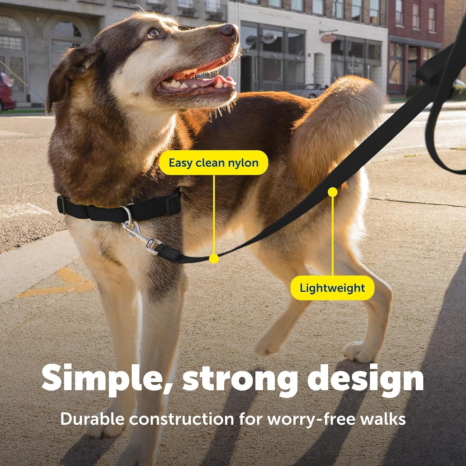 petsafe-nylon-dog-leash-strong-durable-traditional-style-leash-with-easy-to-use-bolt-snap-3-8-in-x-6-ft-black-durable-nylon-leash-with-easy-on-off-bolt-snap-hook-pairs-perfectly-with-easy-walk-harness-and-gentle-leader-headcollar