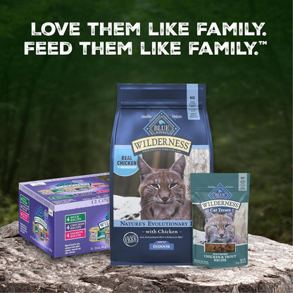 Blue Buffalo Wilderness Variety Pack Adult Paté Wet Cat Food, 3 Oz, 12 Ct | Chicken, Salmon, and Duck Patés (4 of Each), High Protein & Grain-Free Recipes, Supports Daily Hydration10