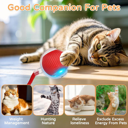 Goosheep 2PK Automatic Rolling Interactive Cat Toys Ball for Indoor Cat Dog | Red&Grey, 3 Modes, LED Light, 360° Smart Automatic Rolling, Suitable for Multi-Cat Families, for Indoor Cats and Small Dogs5