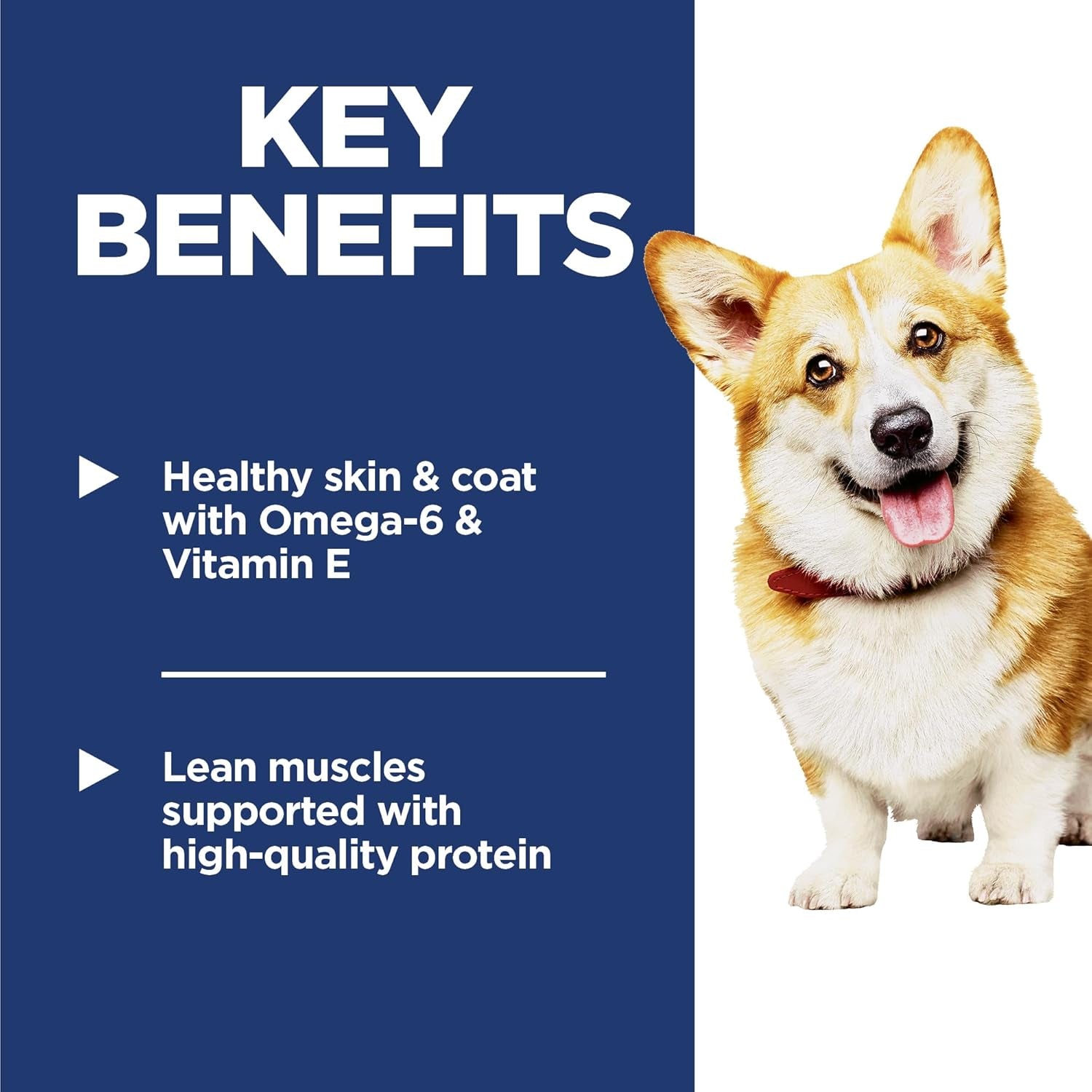 hills-science-diet-adult-1-6-small-bites-dry-dog-food-1-veterinarian-recommended-chicken-barley-5-lb-bag
