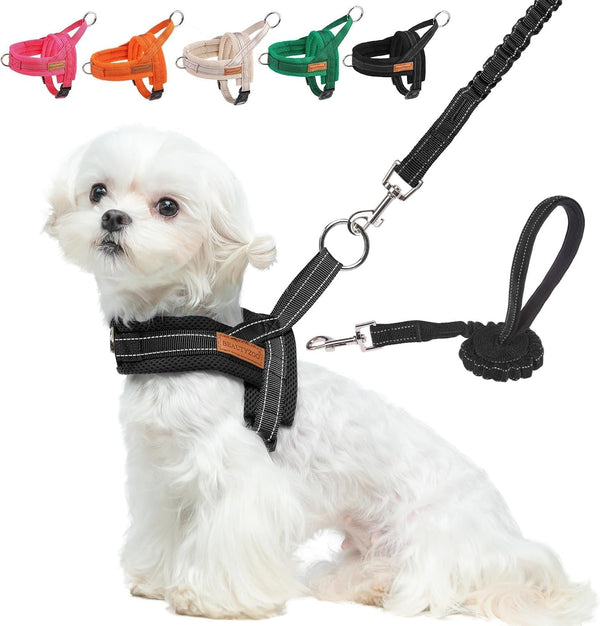 BEAUTYZOO Dog Harness No Pull, Quick Fit Dog Harness and Leash Set, Escape Proof Vest Harness with Soft Handle, Reflective Breathable Mesh Padding Harness for Medium Size Dog Training Walking, Beige M21