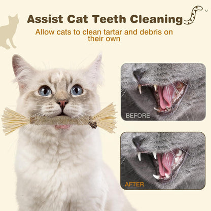 4 Pack Silvervine Sticks for Cats - Cat Chew Toy for Teeth Cleaning, Edible Matatabi Kitty Chew Sticks, Catnip Cat Toys for Indoor Cats (4 Sticks)5