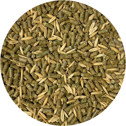 Exotic Nutrition Degu Diet (2.5Lb) - Nutritionally Complete Healthy Pellet Diet with Whole Oats - for Domesticated Pet Degus3
