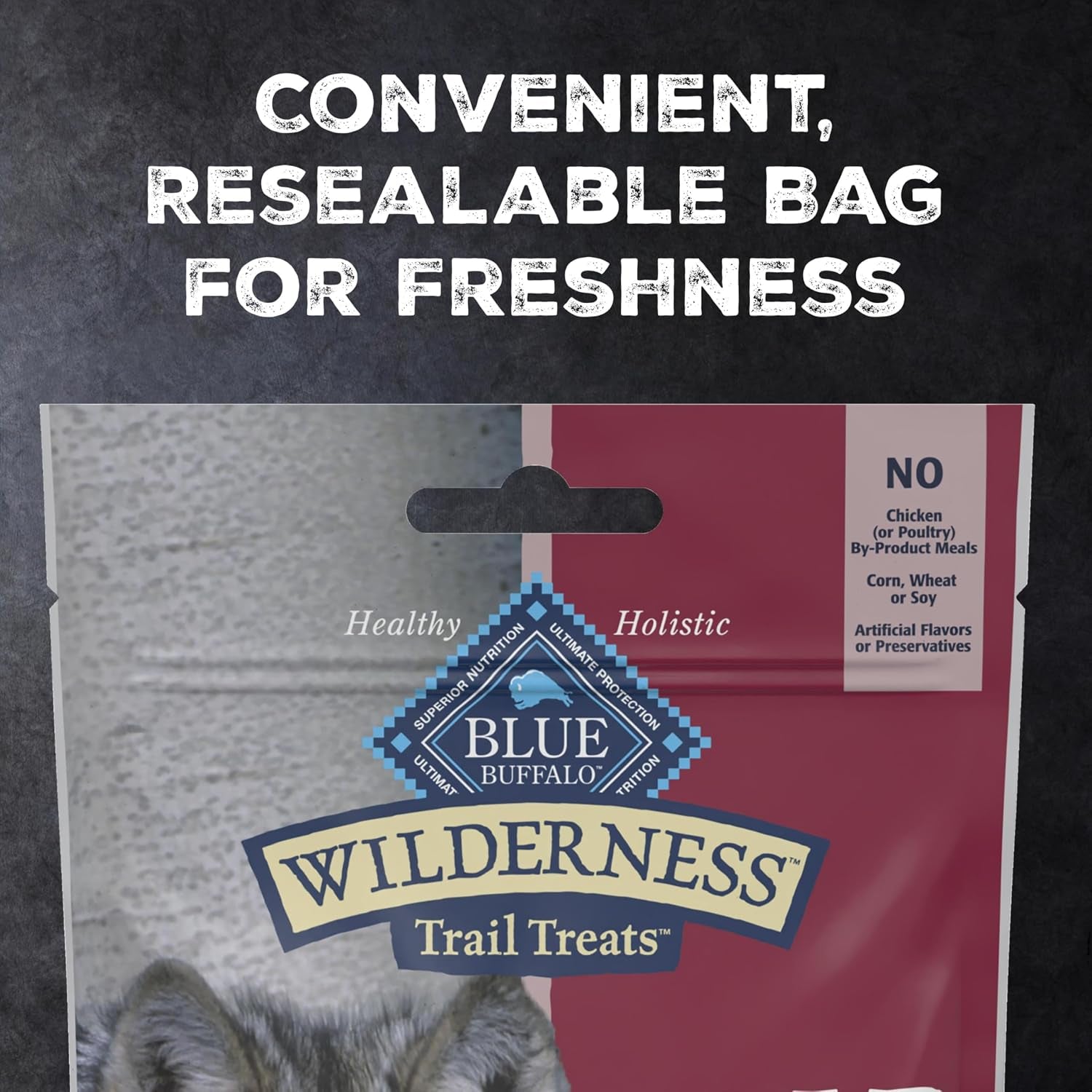 blue-buffalo-wilderness-trail-treats-salmon-crunchy-dog-biscuits-grain-free-high-protein-bite-sized-training-treats-made-with-real-salmon-natural-ingredients-10-oz-bag