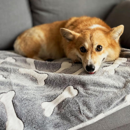 1 Pack 3 Puppy Blankets Super Soft Warm Sleep Mat Grey Cute Print Blanket Fluffy Fleece Pet Blanket Flannel Throw Dog Blankets for Small Dogs Puppy Dogs Fluffy Cats,Bone-Small(23"X15")2