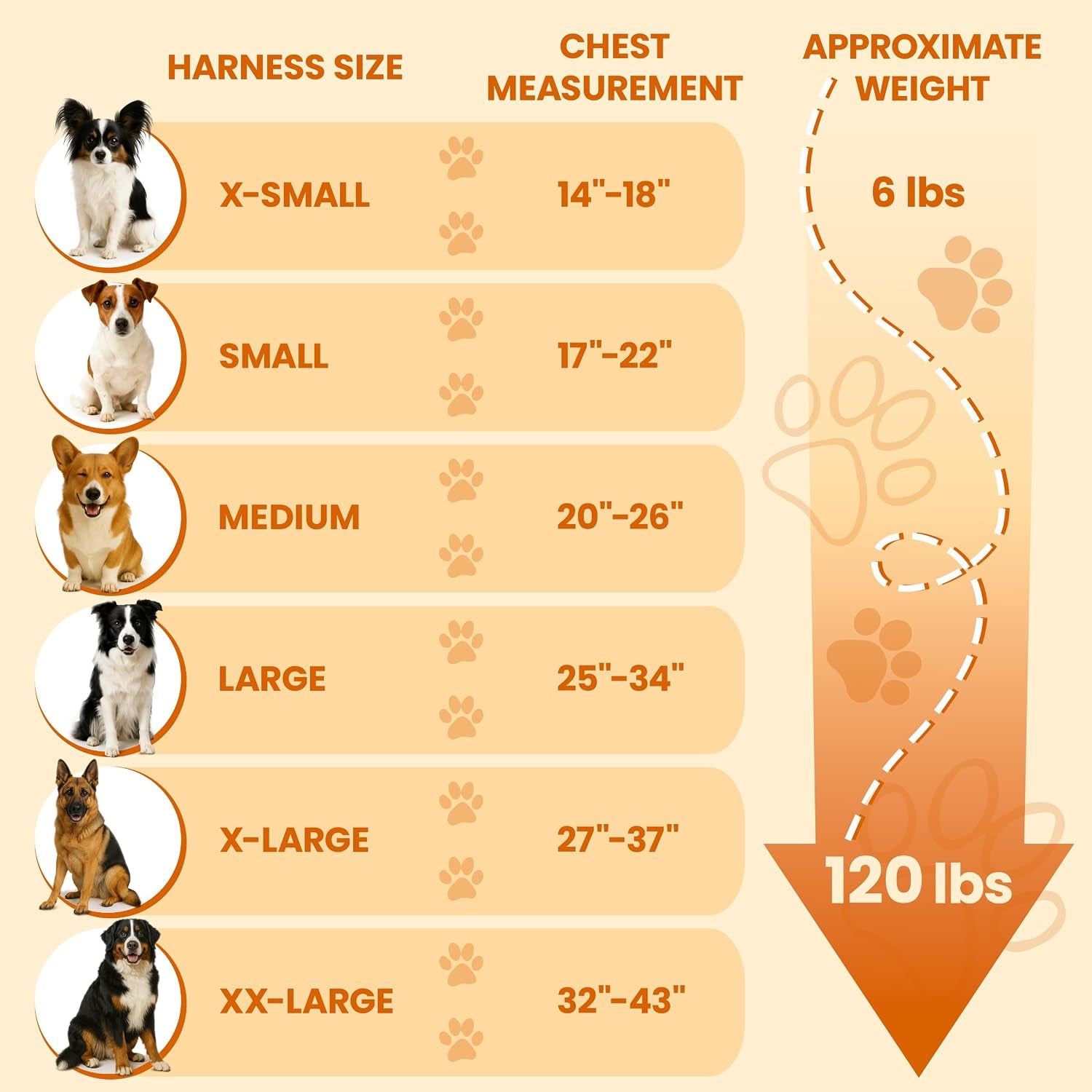 bark-appeal-tan-plaid-no-pull-dog-harness-for-extra-small-to-small-sized-pets-adjustable-reflective-vest-with-3-leash-clips-for-added-control-easy-walks-training-small
