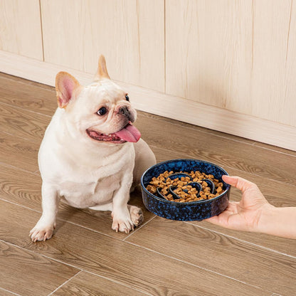 Vancasso Slow Feeder Dog Bowl, 0.6 Cups Ceramic Dog Food Dish for Fast Eaters Small Breed, Puzzle Bowl for Small Dogs and Cats, Blue9