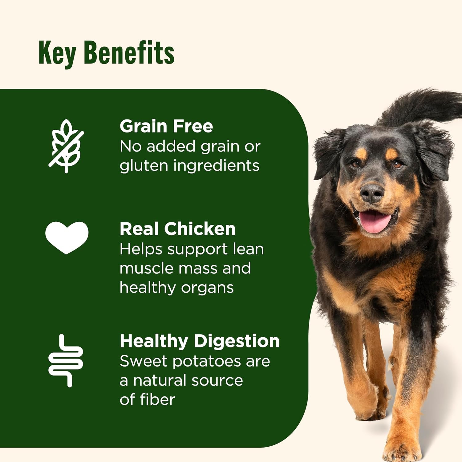 nutrish-grain-free-chicken-dry-dog-food-26-lb-bag-rachael-ray-made-with-sweet-potatoes-to-support-a-healthy-digestion-no-added-grain-or-gluten-ingredients-or-artificial-preservatives