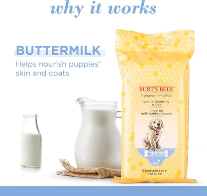 Burts Bees for Pets Gentle Cleansing Puppy Wipes, Buttermilk, 50 Count | Buttermilk Formula, Hypoallergenic, 98% Natural Origin, Gentle Cleansing and Conditioning2