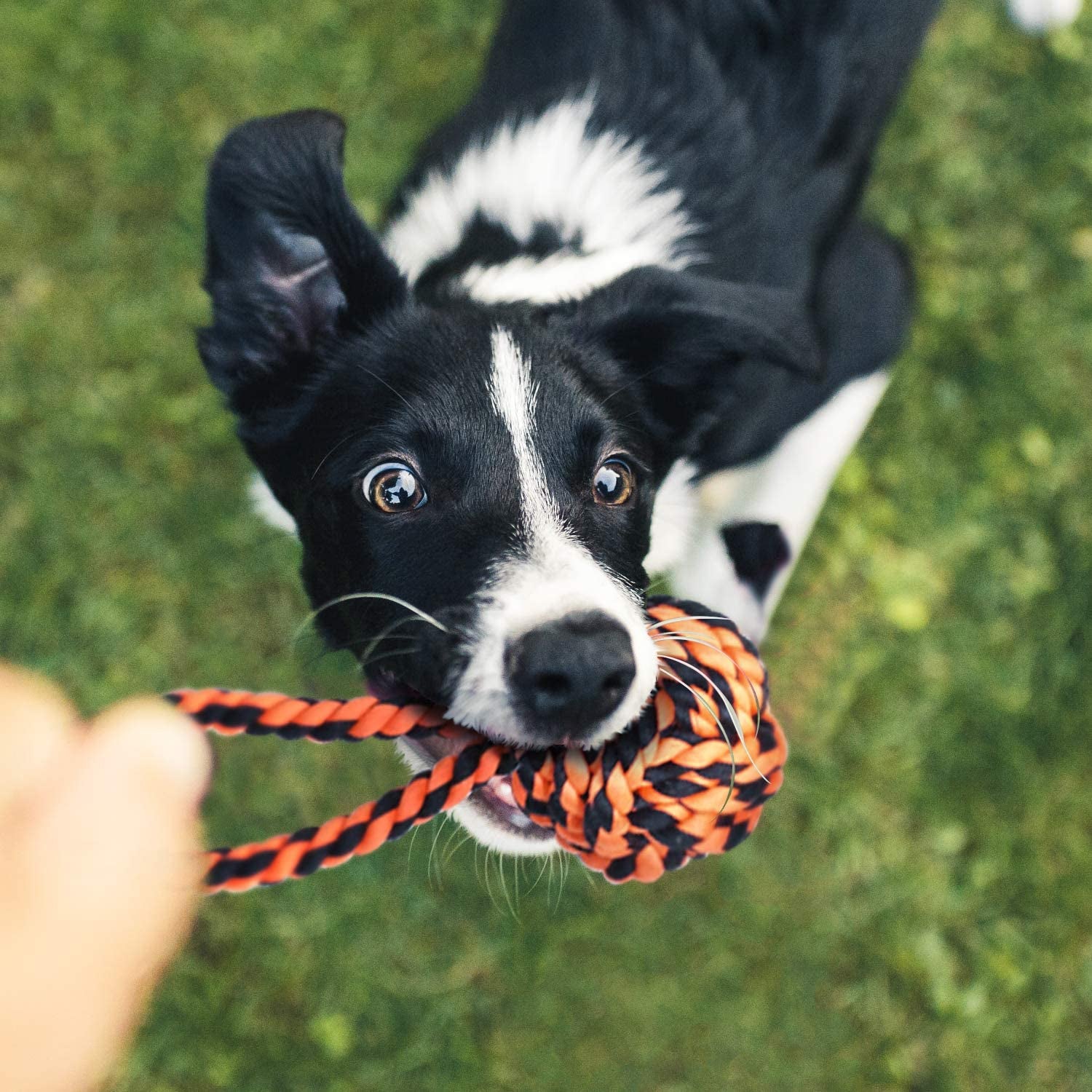 sharlovy-large-tough-chew-toys-for-aggressive-chewers-large-breed-heavy-duty-dental-rope-toys-kit-for-medium-dogs-5-knots-indestructible-cotton-puppy-teething-chew-tug-toy-set-of-9