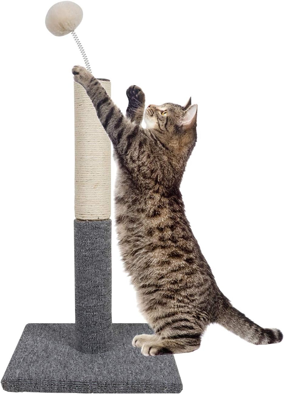cat-scratching-post-with-carpet-botton-base-and-spring-teasing-toy-ball-for-indoor-cats-and-kittens-grey