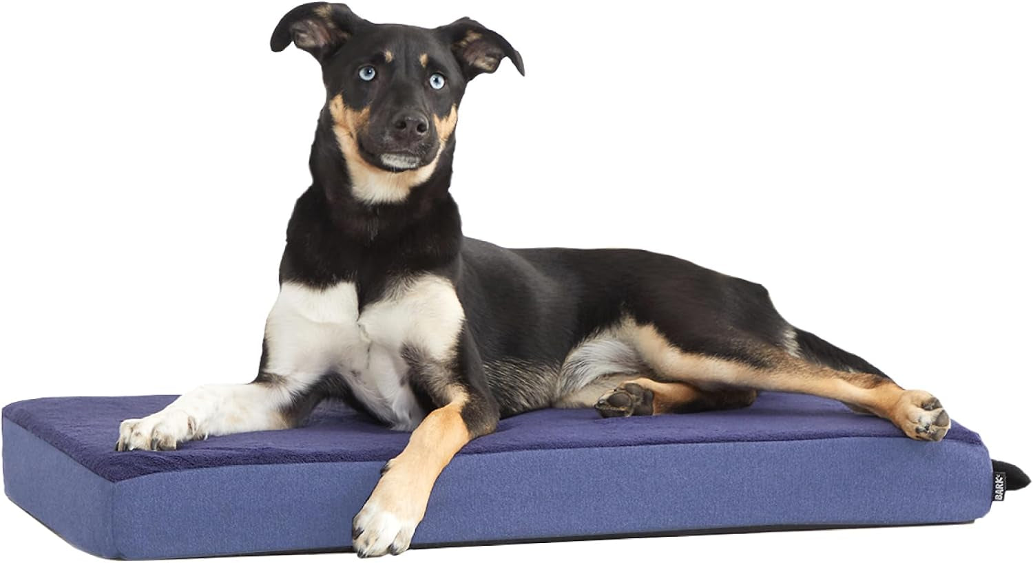 barkbox-orthopedic-dog-bed-large-with-memory-foam-comfortable-durable-machine-washable-pet-bed-grey