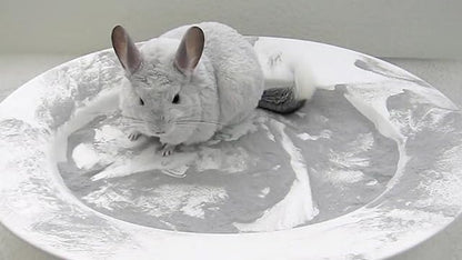 Lixit Blue Beauty® Chinchilla Dust Powder - Dry Bath Grooming Dust for Hamsters, Gerbil, Degus, and Small Animals - Made in the USA (3 Pound)6
