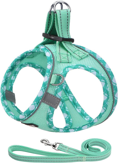 AMTOR Small Dog Harness with Leash Set, No Escape Easy Walk Puppy Harnesses for Training Walking, Step-In Reflective Soft Dogs Vest for XS S Medium Extra-Small Large Sized Dog(Green,S)25