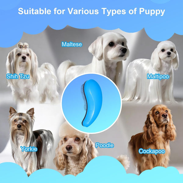 Small Dog Brush, Skin-Friendly Soft Bristles (Blue) | Puppy Hair Brush, Massage and Bath Supplies, Pet Grooming Tool for Teddy, Yorkies, Maltese, Shih Tzu, Chihuahua6