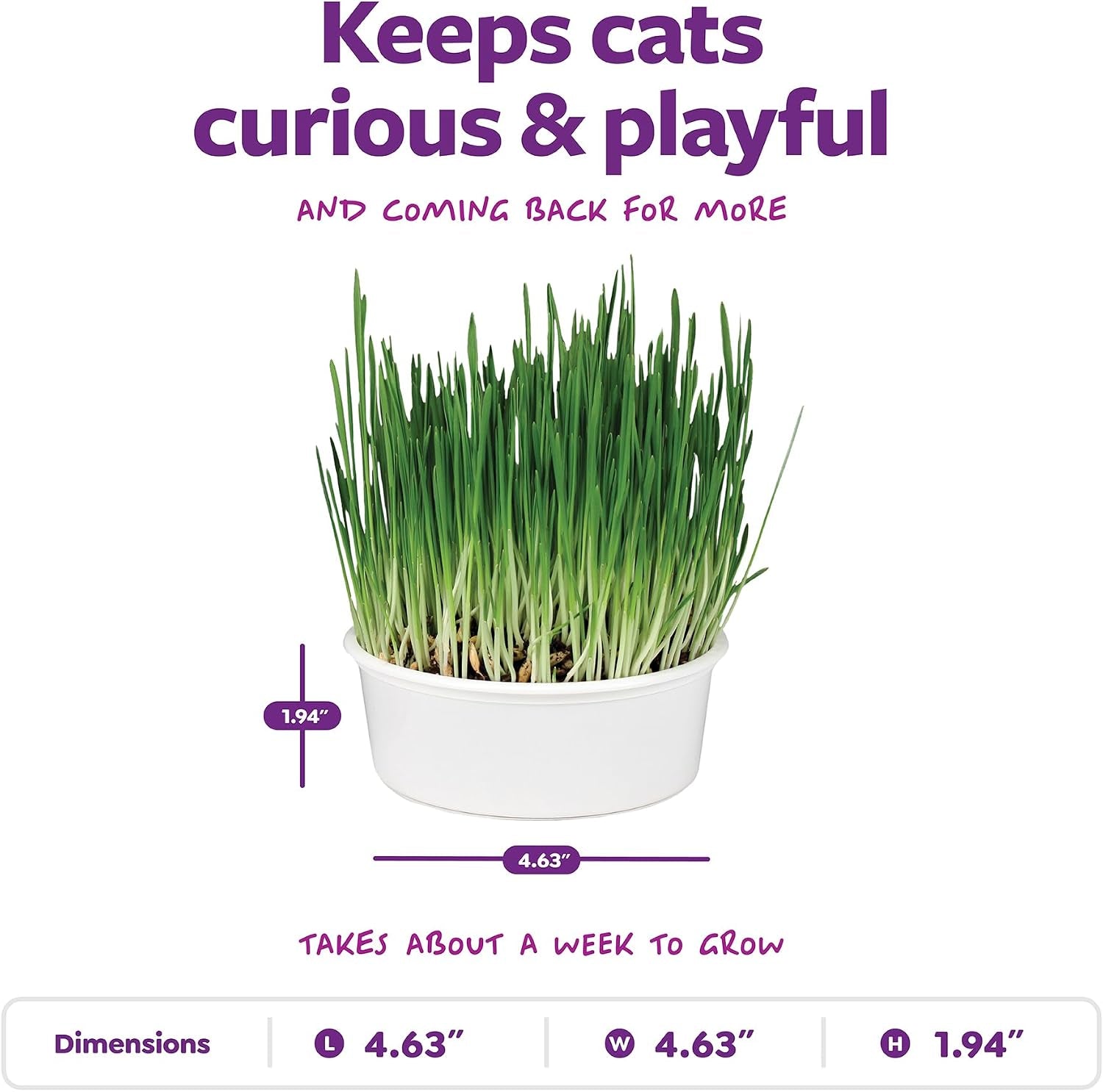smartykat-sweet-greens-organic-oat-grass-all-in-one-cat-grass-grow-kit-easy-to-grow-to-support-digestion-hairball-reduction