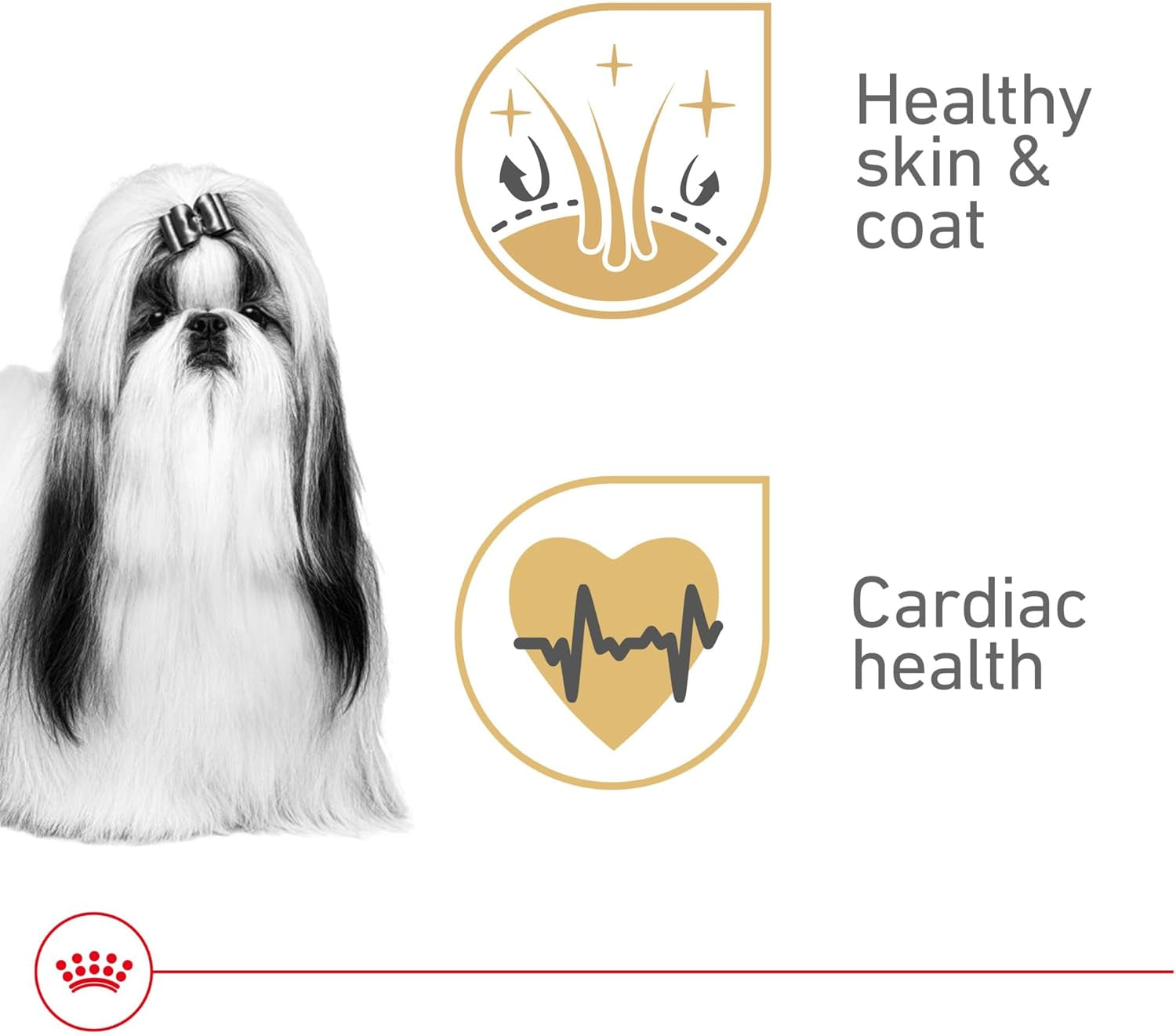 royal-canin-breed-health-nutrition-shih-tzu-adult-loaf-in-sauce-dog-food-3-oz-pack-of-6