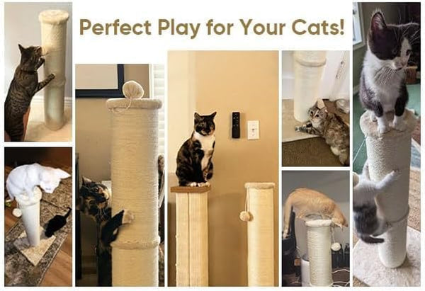 PAWSCRAT 32-Inch Tall Cat Scratching Post, 5.5-Inch Diameter, Sisal, Beige | Natural Sisal Scratching Surface with a Dangling Ball for Indoor Cats, Scratch-Resistant Durable and Protect Your Furniture9