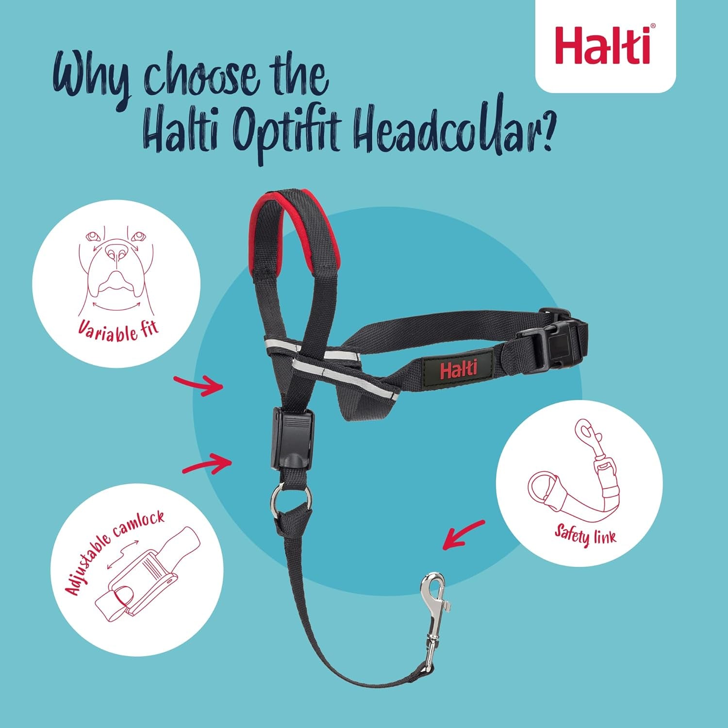 halti-optifit-headcollar-size-medium-halti-training-leash-size-large-black-combination-pack-stop-your-dog-pulling-on-the-leash-adjustable-with-padded-nose-band-suitable-for-medium-dogs