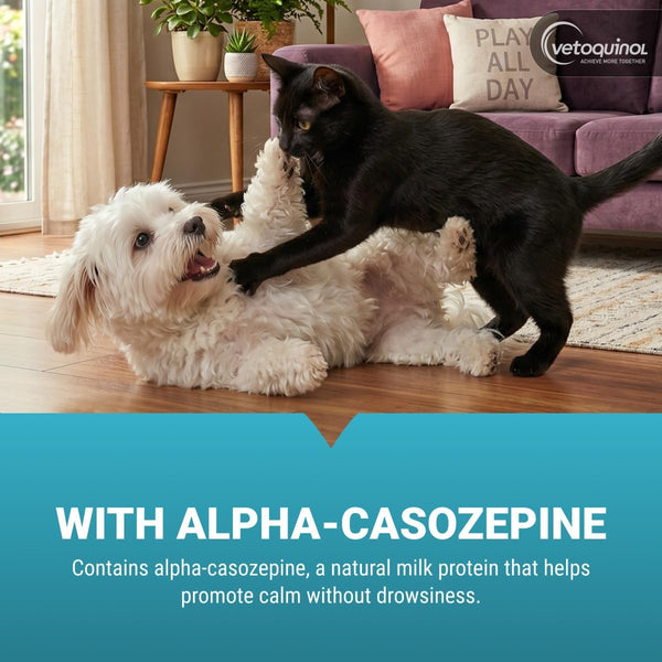 Vetoquinol Zylkene - Calming Oral Capsule for Small Cats & Dogs 11–22 Lb - for Behavior & Occasional Anxiety - Perfect for Boarding, Vet Visits & Celebrations - Non-Drowsy & Lactose-Free - 30 Capsules4