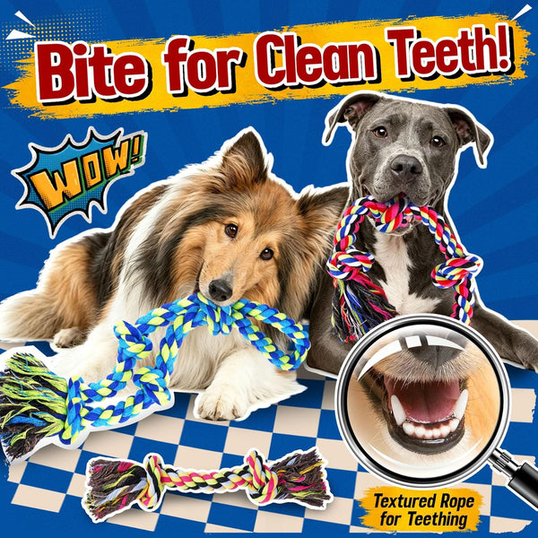 Forfon Tough & Strong Dog Toy for Aggressive Chewers – Tough Chew Toys for Large Dogs, Ideal for Tug-Of-War & Teeth Cleaning, with 3 Rope Toys & 2 Dog Bags5