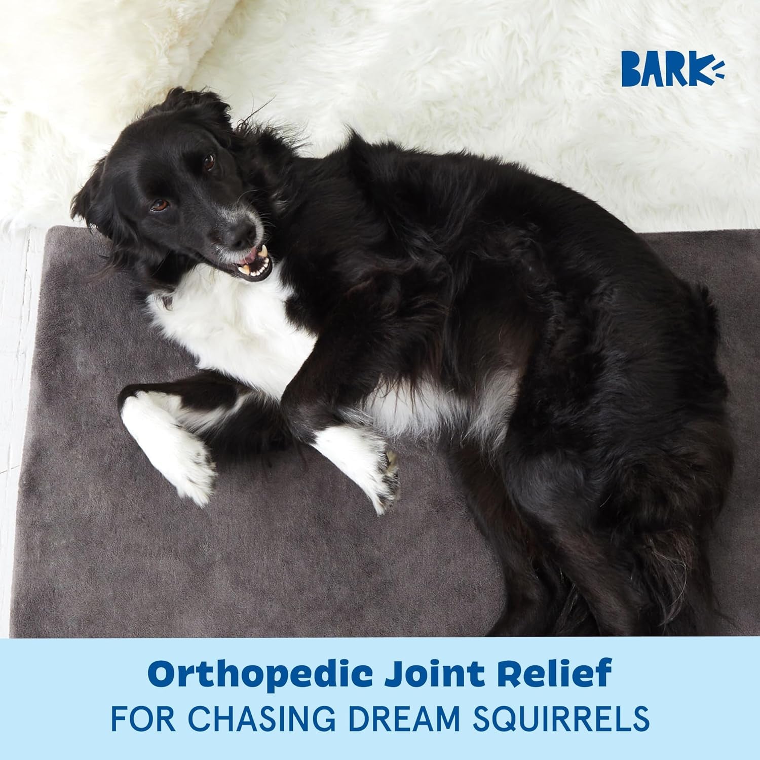 barkbox-orthopedic-dog-bed-large-with-memory-foam-comfortable-durable-machine-washable-pet-bed-grey