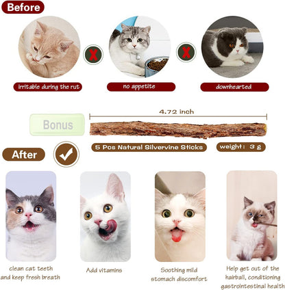 Natural Wood Cat Wand Toy with Ribbon Fish Teaser - 3Pcs, 16 Inch, Indoor Cat Exerciser & Playing Kitten Toy, Bonus 5Pcs Catnip Sticks for Teeth Cleaning3