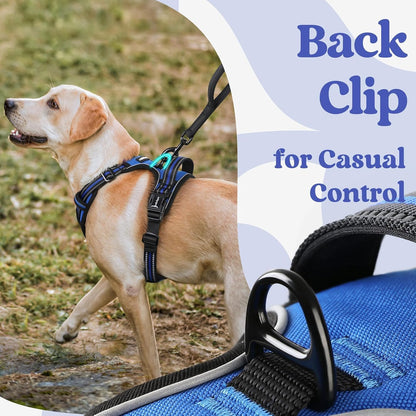 Rabbitgoo Dog Harness Medium Sized, Updated Easy on & off with 3 Buckles | No Pull No Choke, Walking with 2 Clips and Handle, Adjustable Soft Reflective, Blue, Medium6