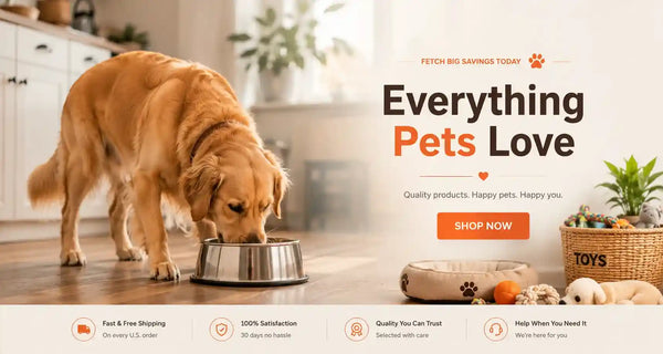 Golden retriever eating from stainless steel dog bowl beside pet bed and toy basket in cozy home kitchen